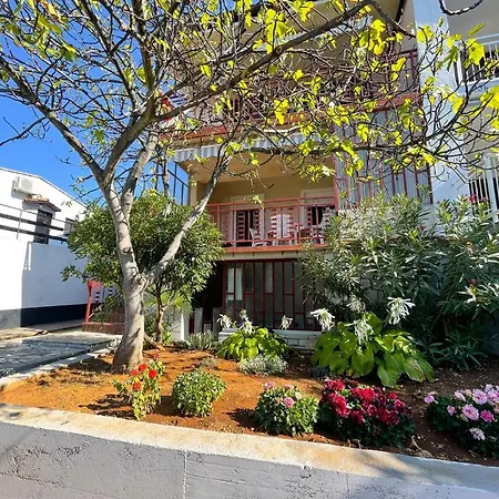 Ruzic * יאדראנובו