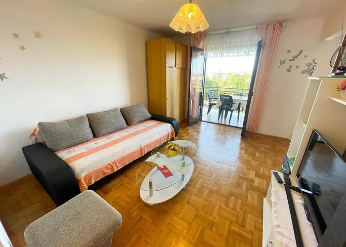 Apartament Ruzic *
