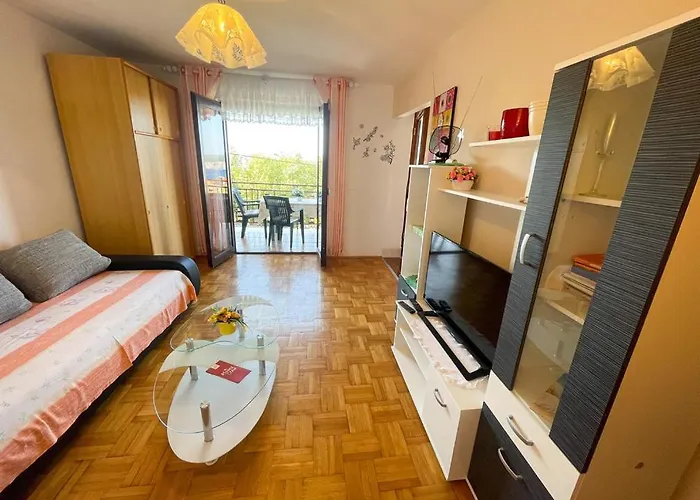 Apartament Ruzic *